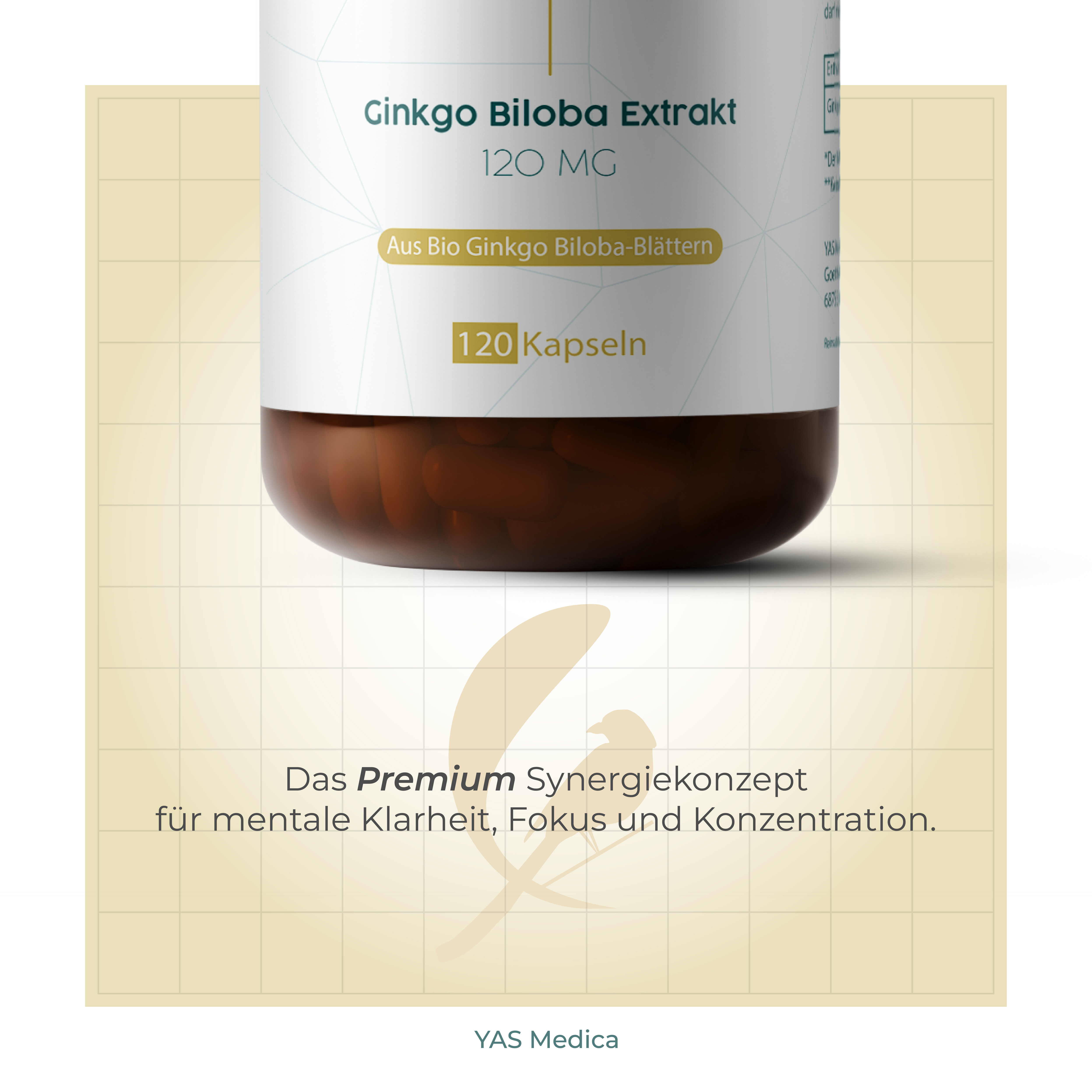 Ginkgo Biloba Extrakt 120mg