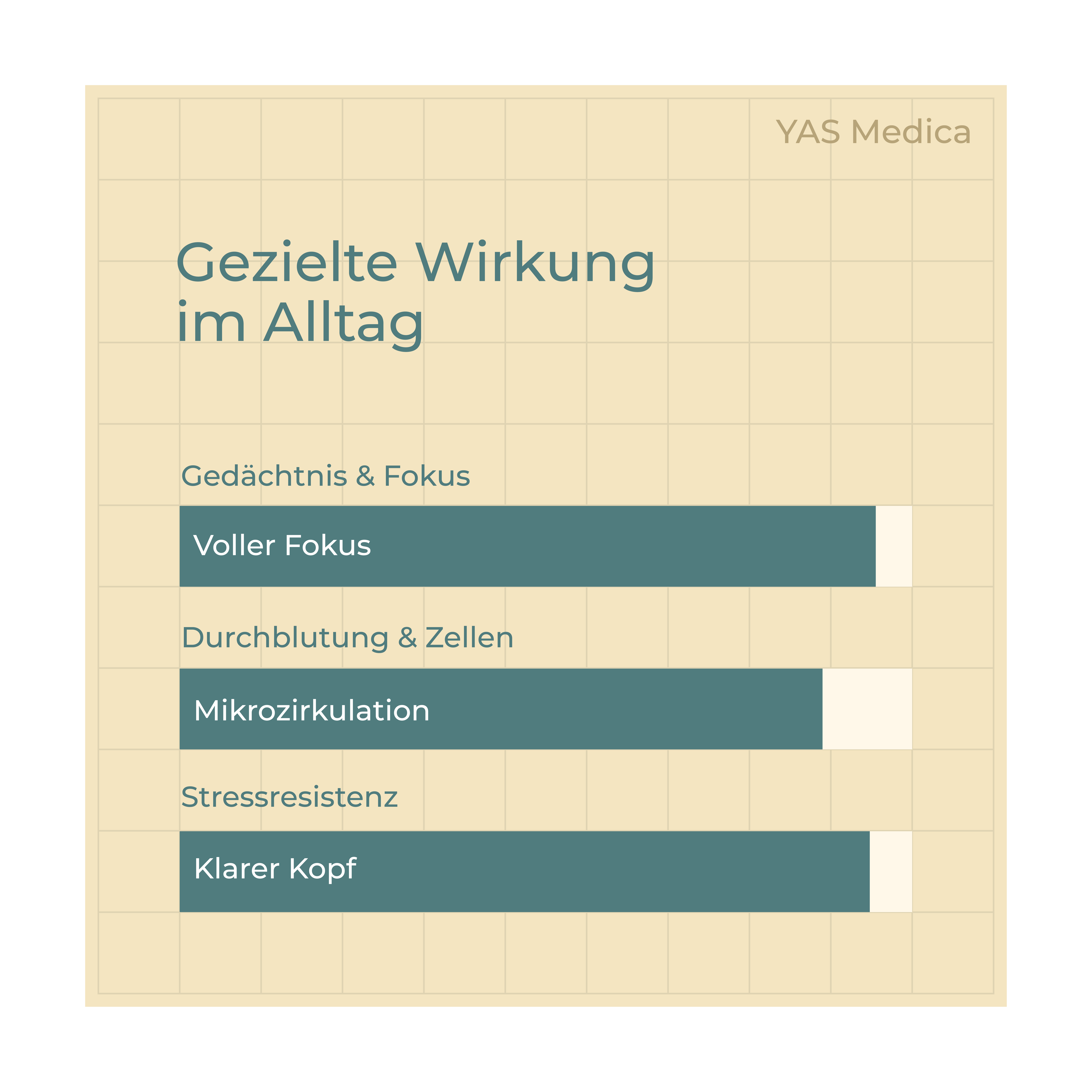 Ginkgo Biloba Extrakt 120mg