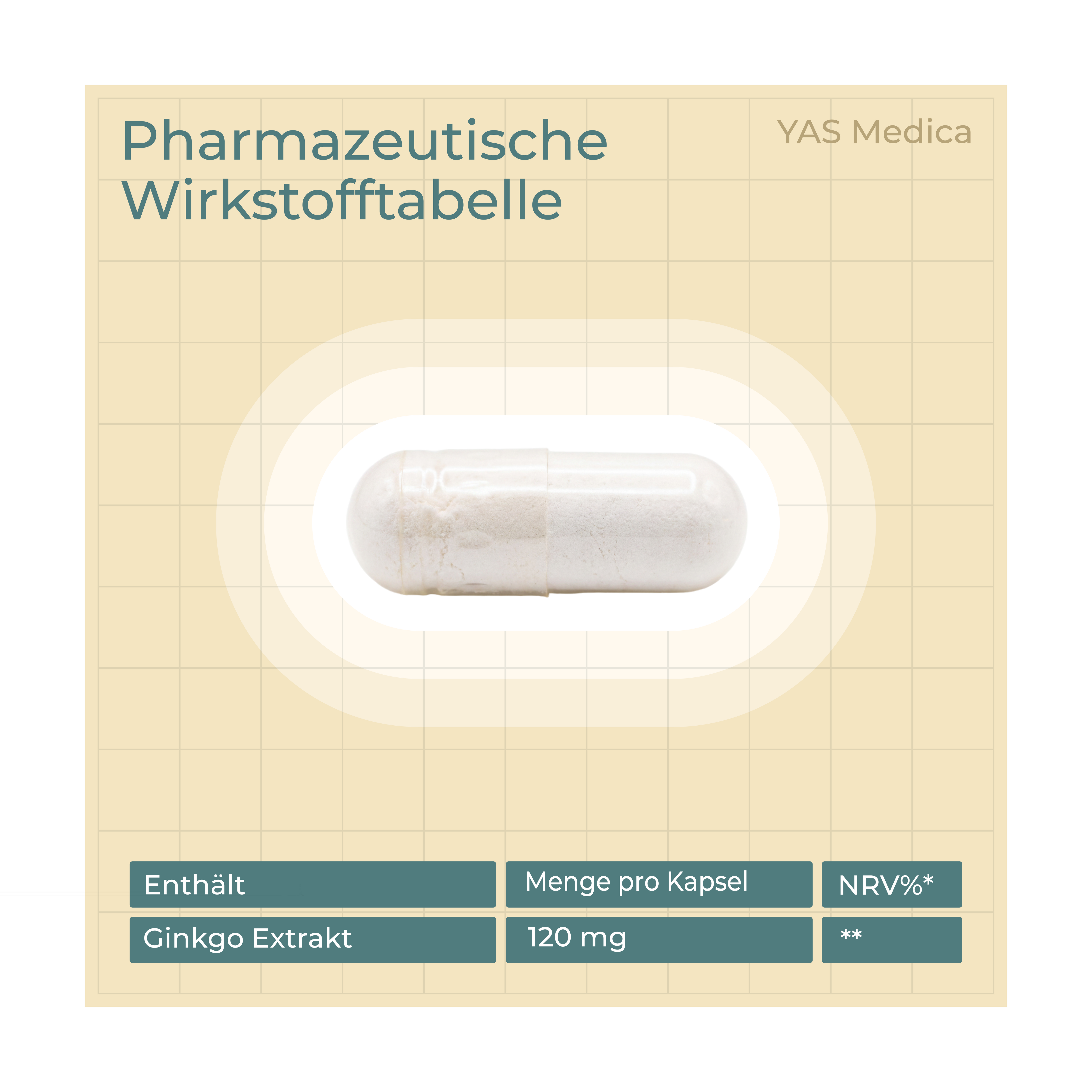 Ginkgo Biloba Extrakt 120mg