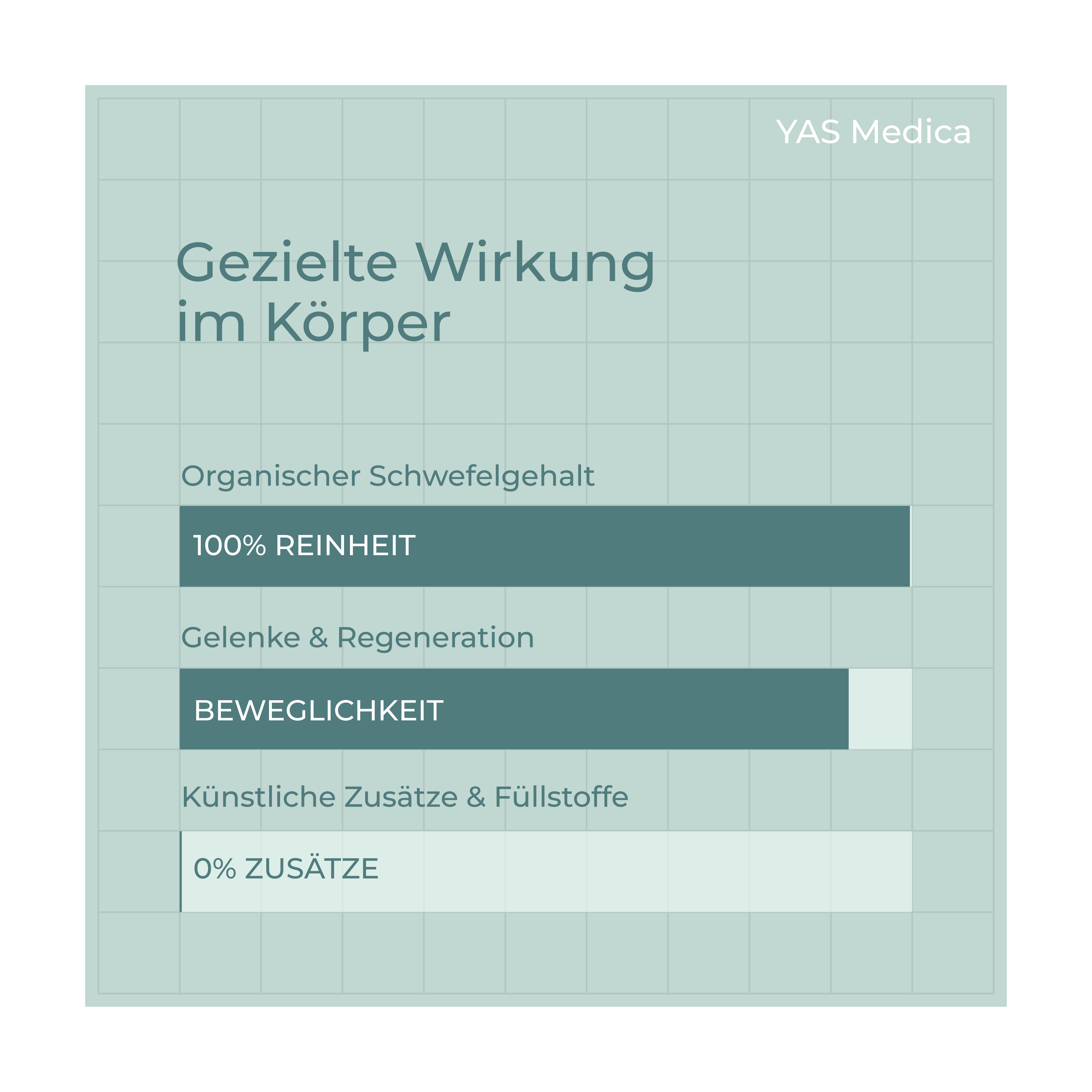 MSM Pflanzlich EcoPure