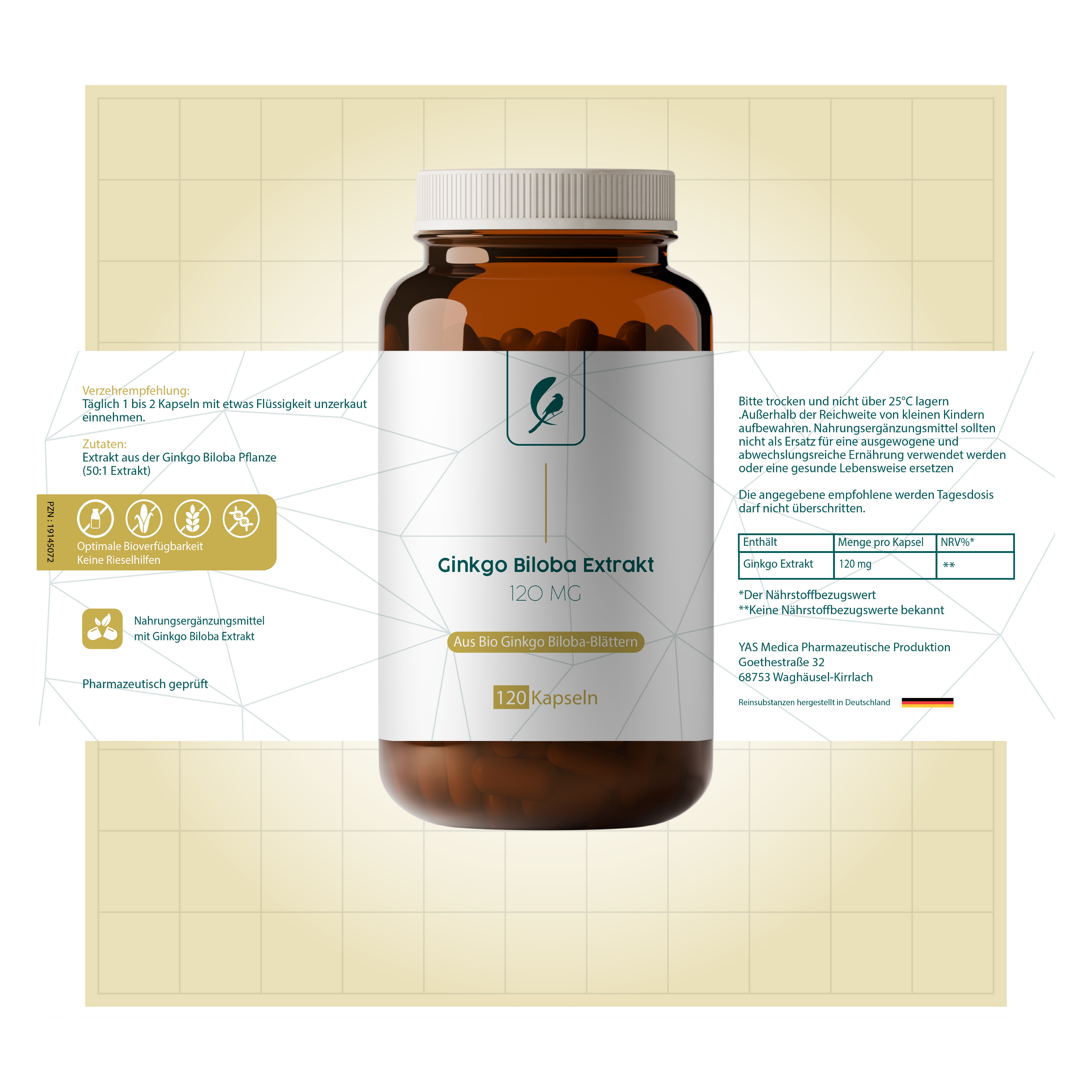 Ginkgo Biloba Extrakt 120mg