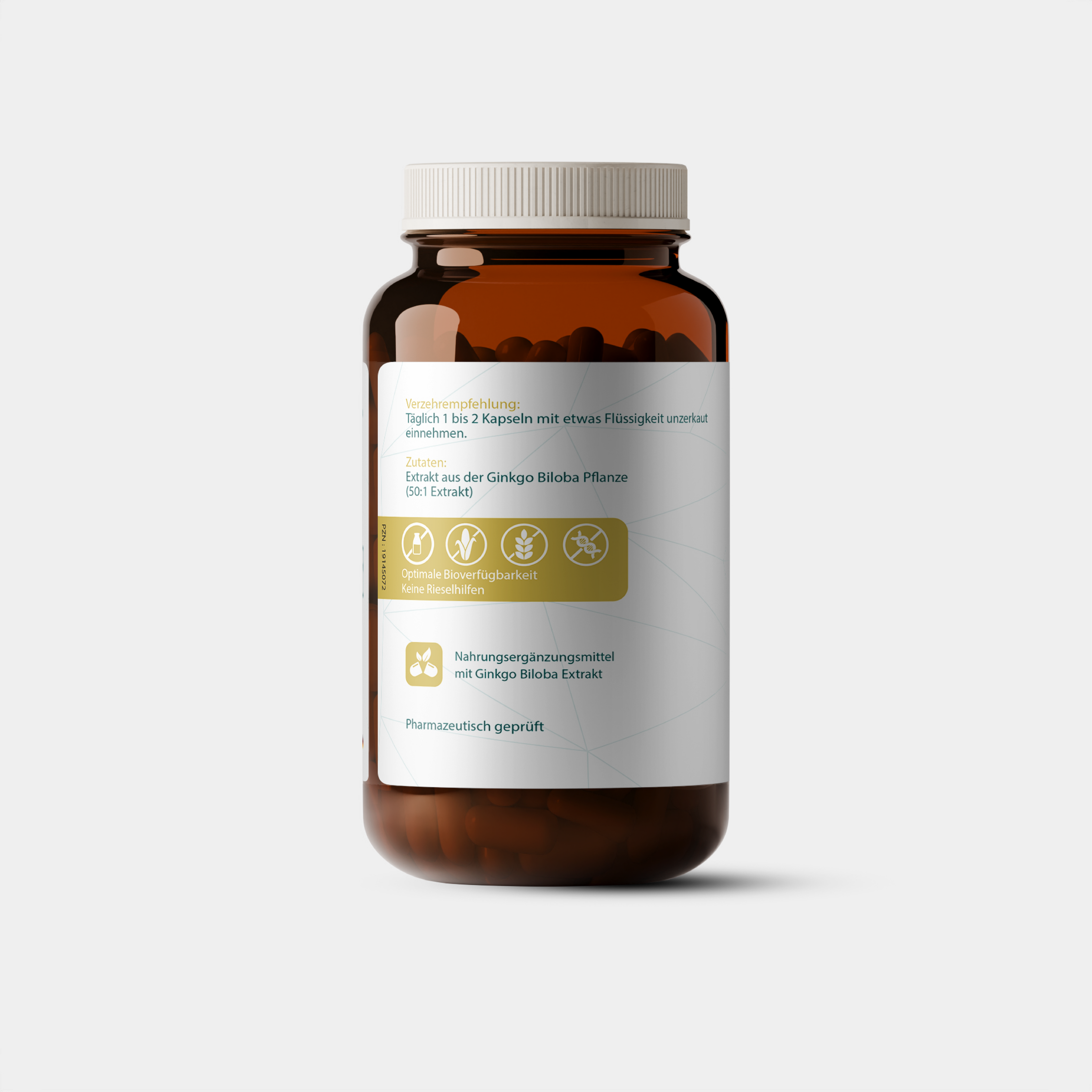Ginkgo Biloba Extrakt 120mg