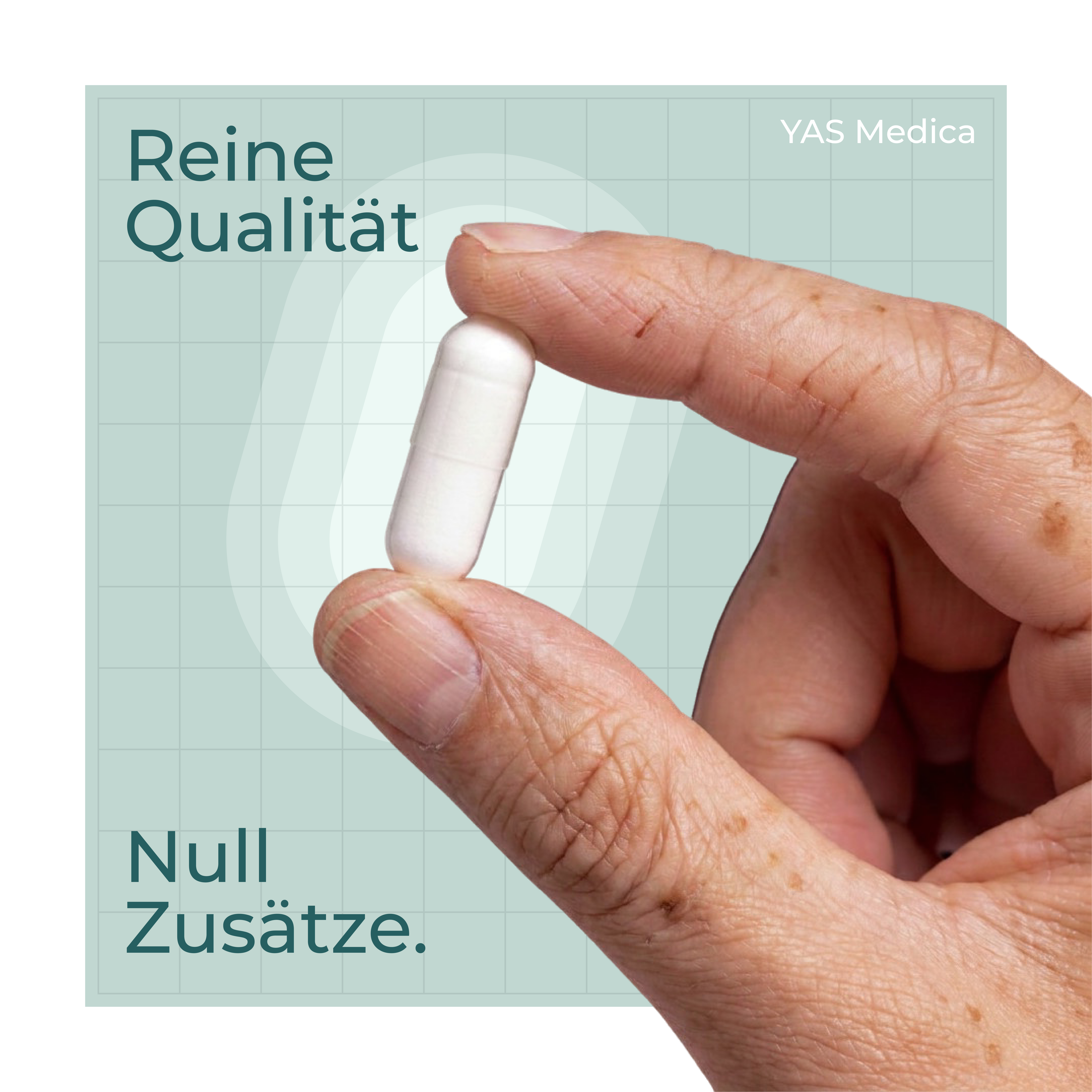 MSM Pflanzlich EcoPure