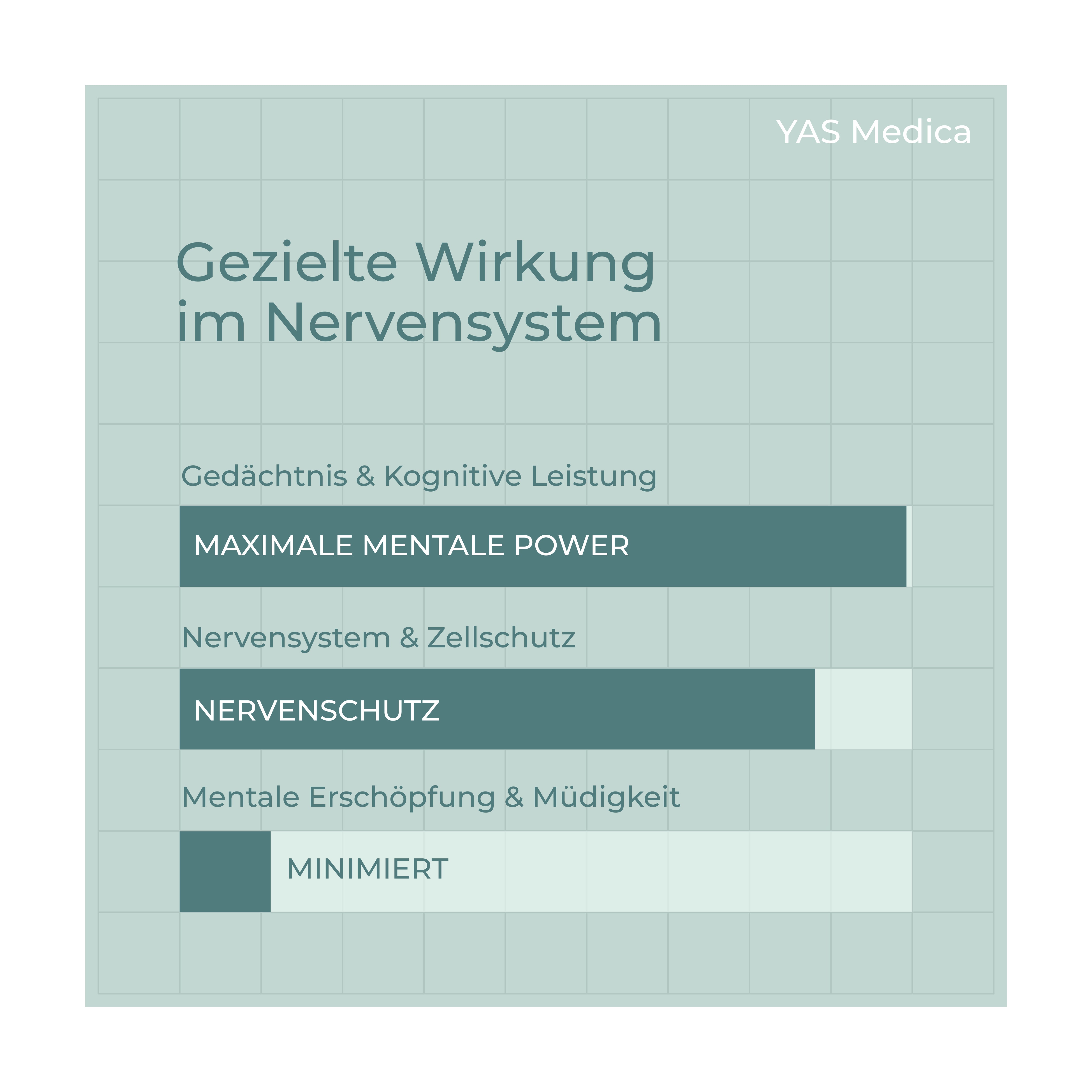 Neuro VitalKomplex